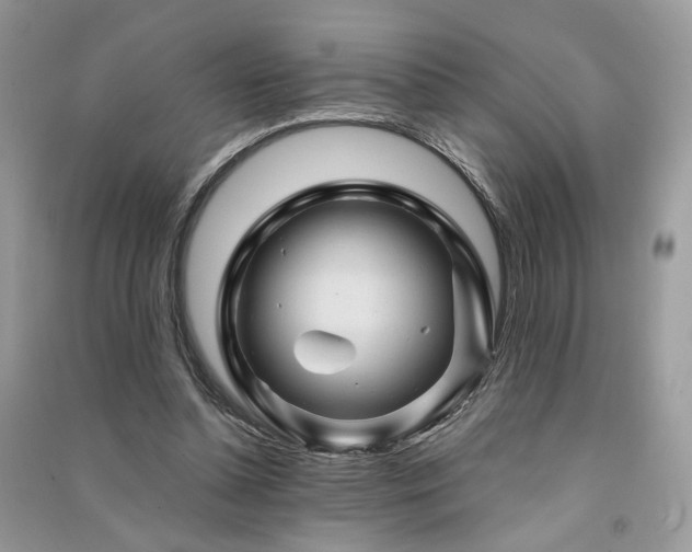 X0000091360348200708101424