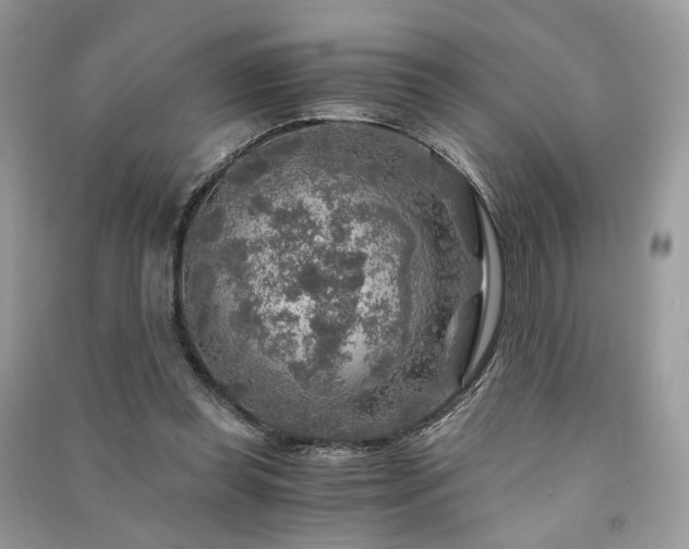 X0000091360349200708101424