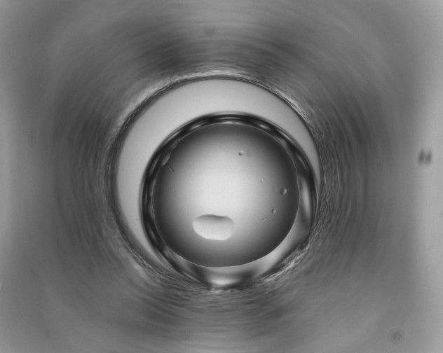 X0000091360350200708101424