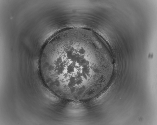 X0000091360351200708101424