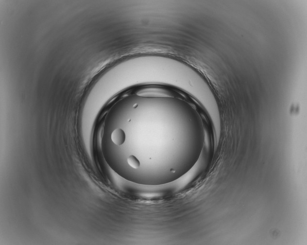 X0000091360352200708101424