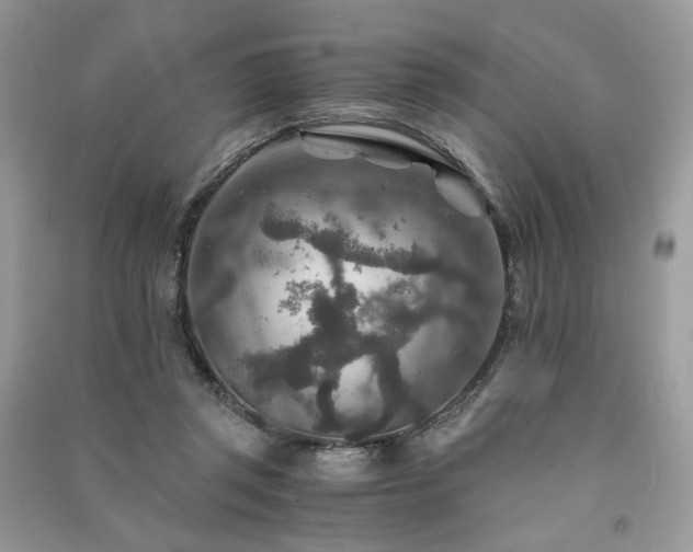 X0000091360357200708101424