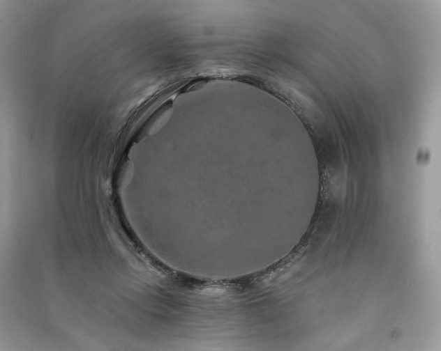 X0000091360358200708101424