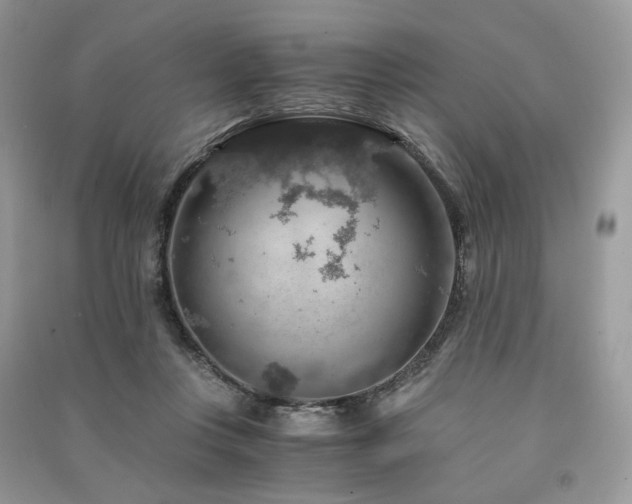 X0000091360359200708101424