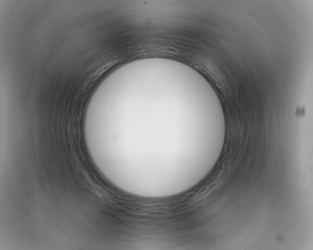 X0000091360360200708101424