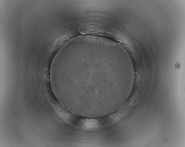 X0000091360361200708101424