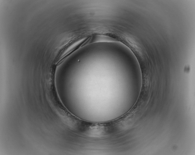 X0000091360362200708101424