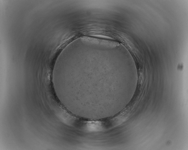 X0000091360363200708101424