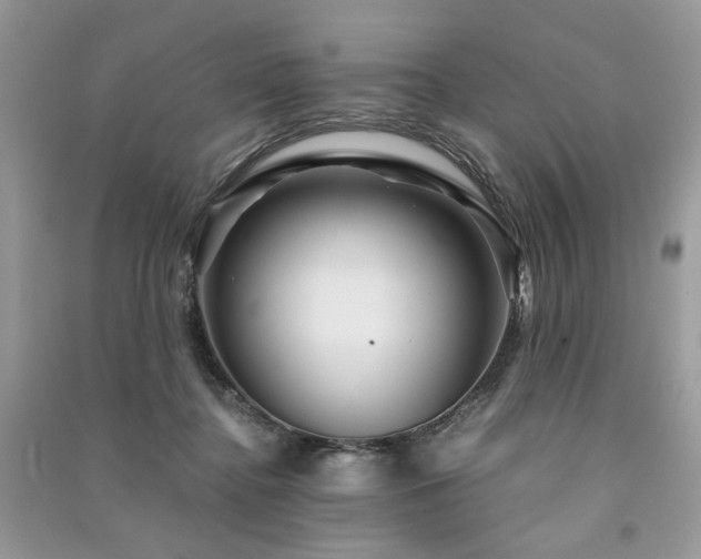 X0000091360364200708101424
