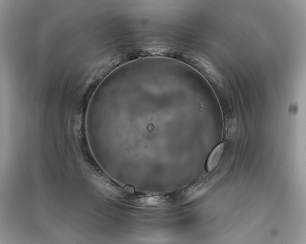 X0000091360365200708101424