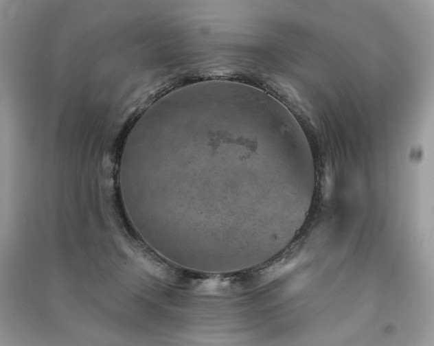 X0000091360366200708101424