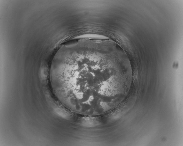 X0000091360367200708101424