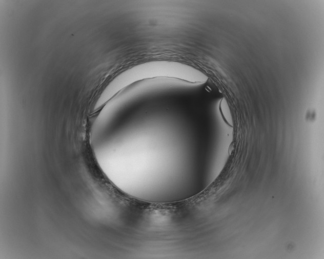 X0000091360368200708101424