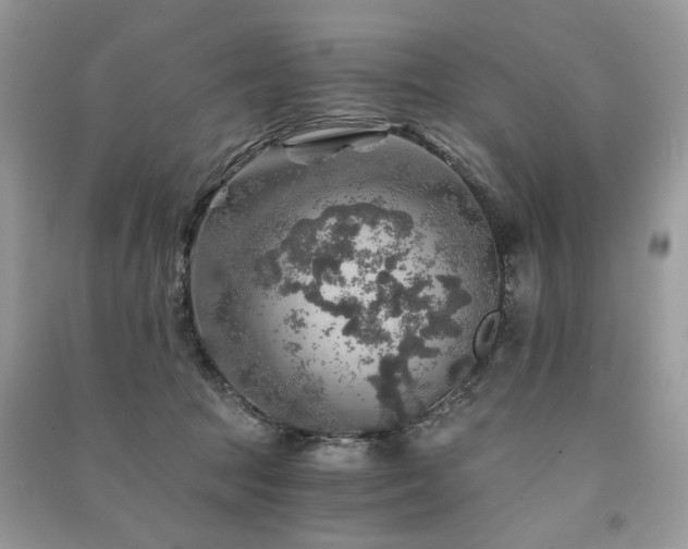 X0000091360369200708101424