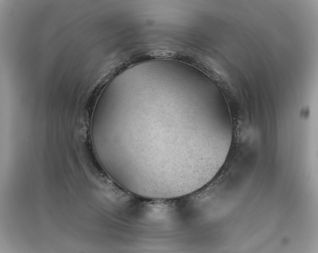 X0000091360370200708101424