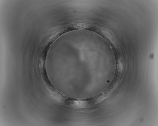 X0000091360371200708101424