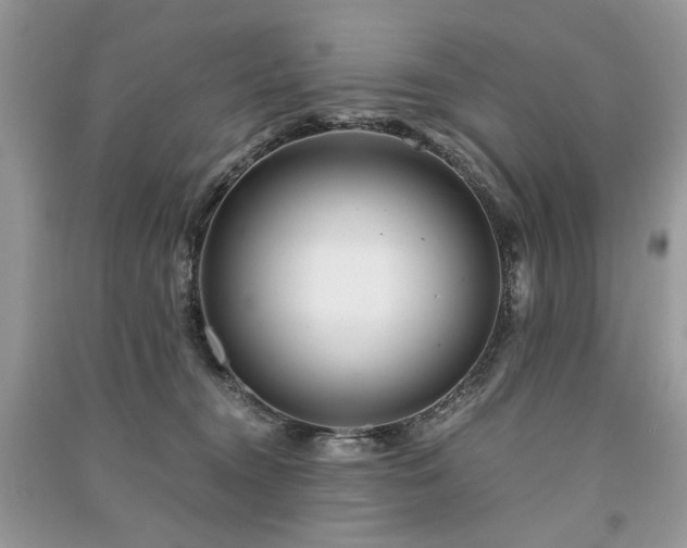 X0000091360372200708101424