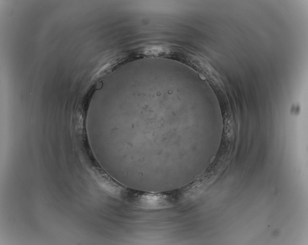 X0000091360375200708101424