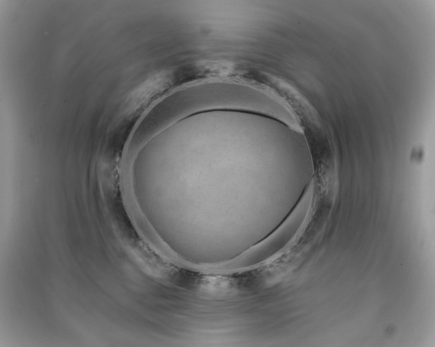 X0000091360376200708101424