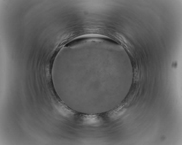 X0000091360377200708101424