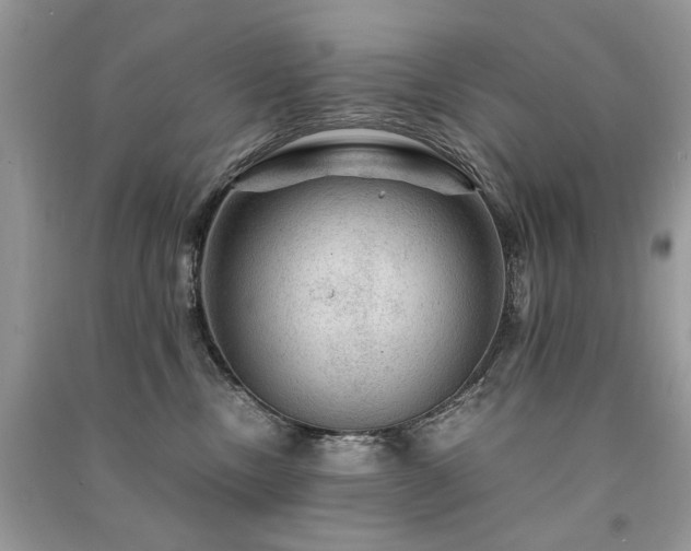 X0000091360378200708101424