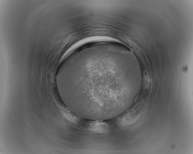 X0000091360379200708101424