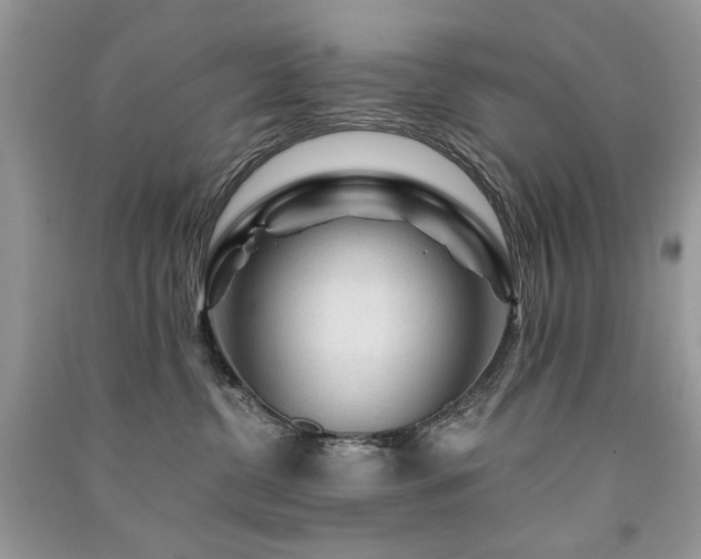 X0000091360380200708101424