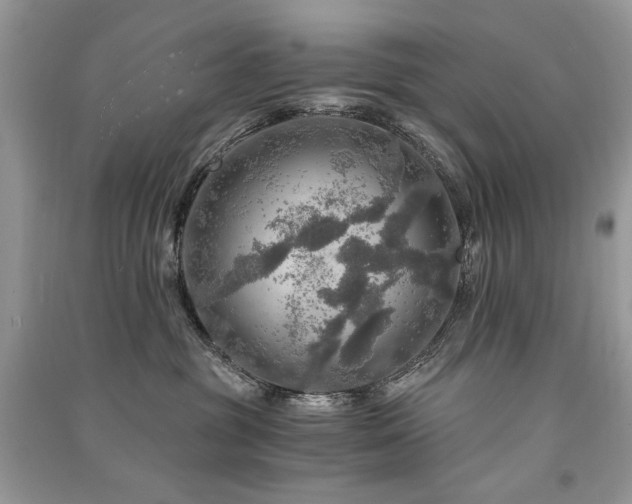 X0000091360381200708101424