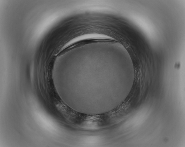 X0000091360382200708101424