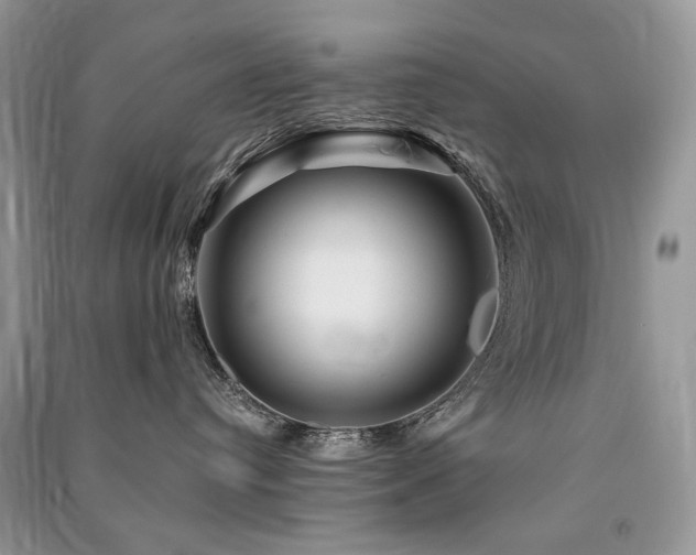 X0000091360384200708101424