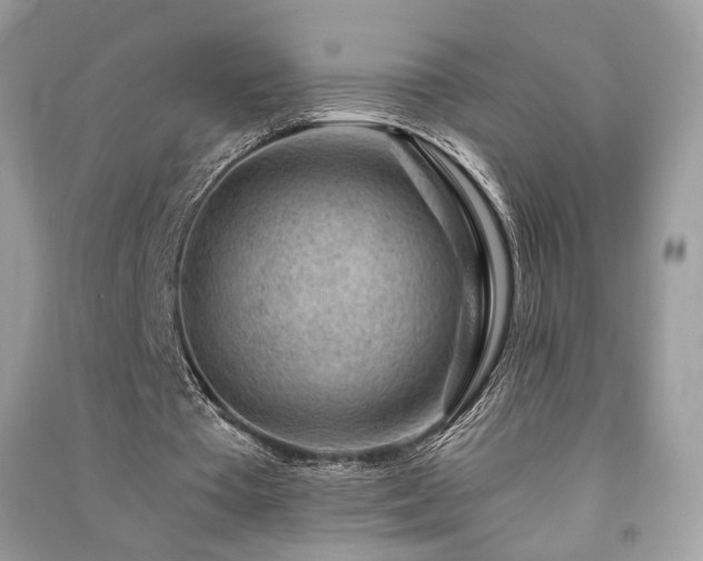X0000091360385200708101424