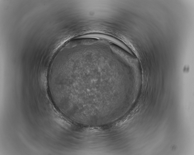X0000091360386200708101424
