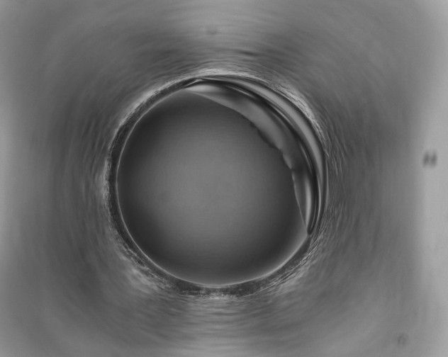 X0000091360387200708101424