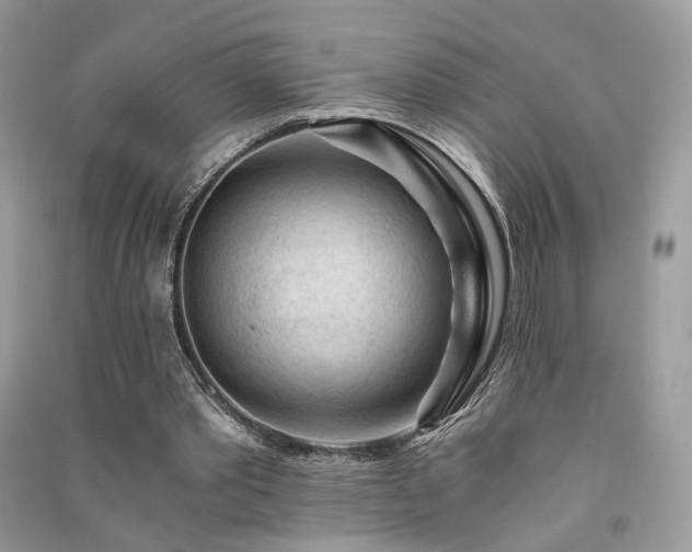 X0000091360389200708101424