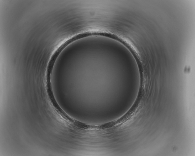 X0000091360391200708101423