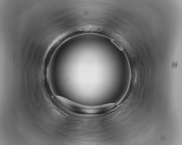 X0000091360392200708101423