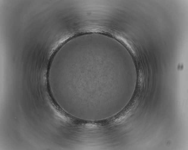 X0000091360394200708101423