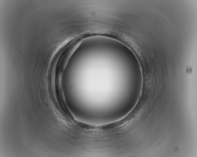 X0000091360395200708101423