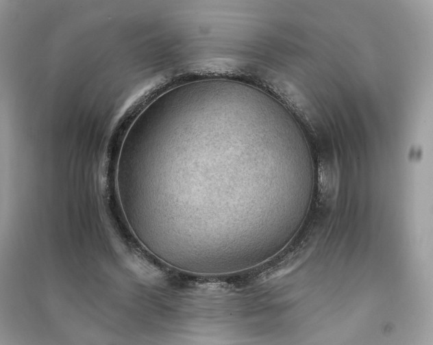 X0000091360396200708101423