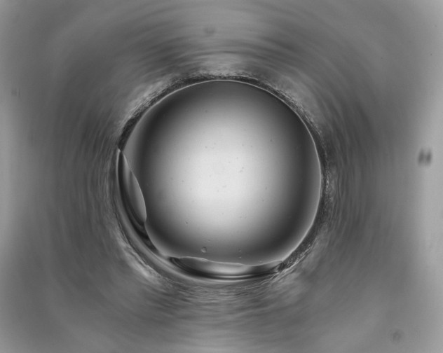 X0000091360397200708101423
