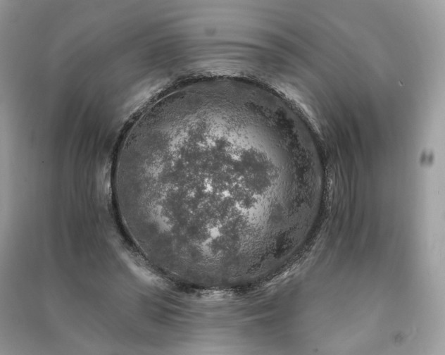 X0000091360398200708101423