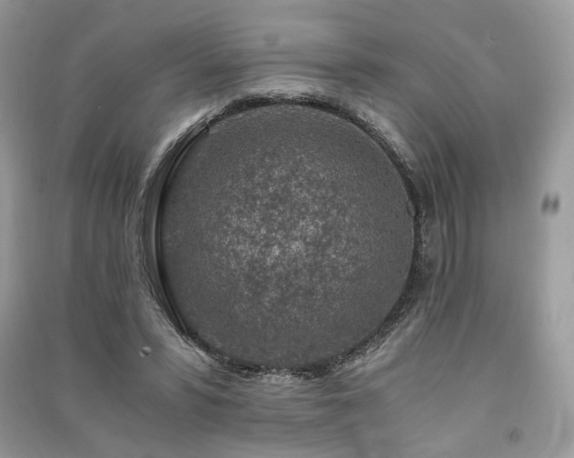 X0000091360399200708101423