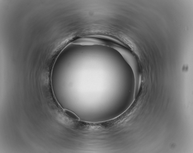 X0000091360401200708101423