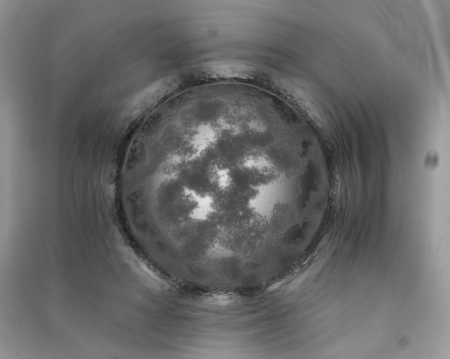 X0000091360402200708101423