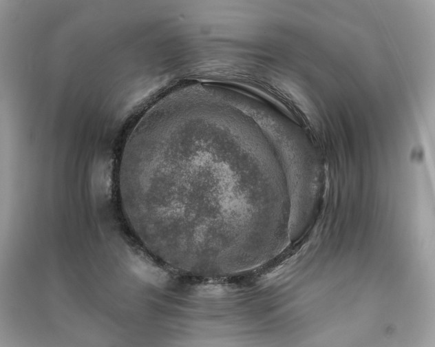 X0000091360404200708101423