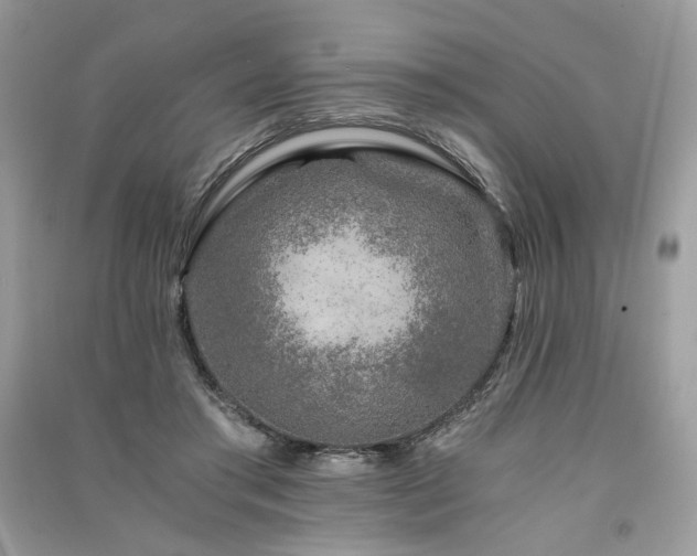 X0000091360405200708101423