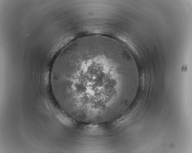 X0000091360406200708101423
