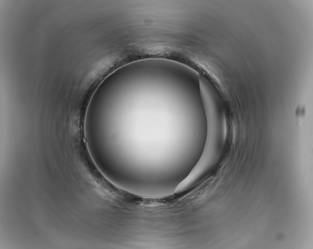 X0000091360407200708101423