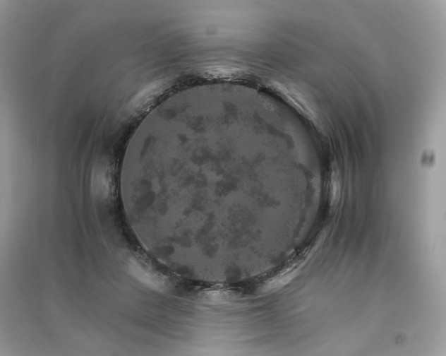 X0000091360408200708101423
