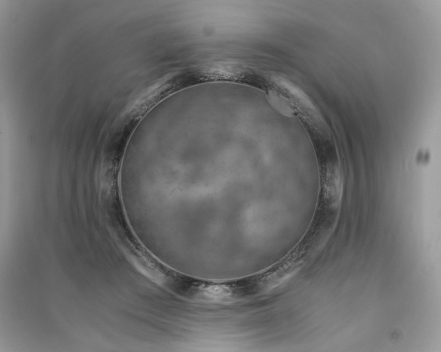 X0000091360409200708101423